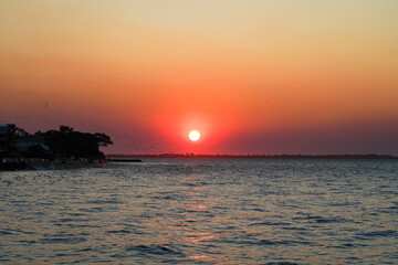 Fototapeta premium Sunset Over Calm Waters with Silhouettes of Birds and Trees Along the Shoreline 