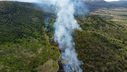 Aerial View of Controlled Burn in a Grassland Area with Smoke Rising into the Sky  
