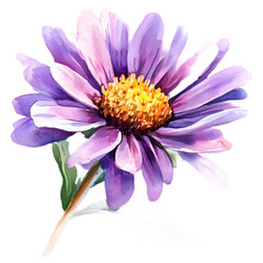 Obraz premium Vibrant Purple Flower with Delicate Petals and Bright Center