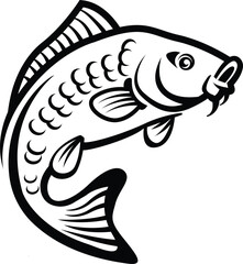 Carp fish in black outlines illustration