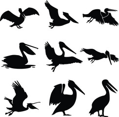 Collection of silhouettes of pelican birds