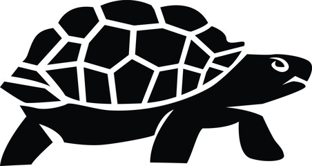 turtle tortoise logo design Illustration vector