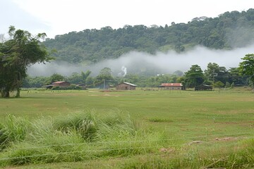 Fototapeta premium A serene landscape featuring lush green fields, distant hills, and a misty atmosphere, providing a tranquil rural setting.