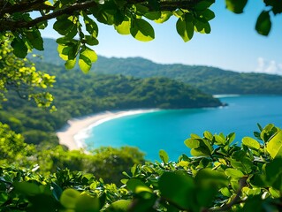 Serene Tropical Beach Surrounded by Lush Green Foliage and Hills
