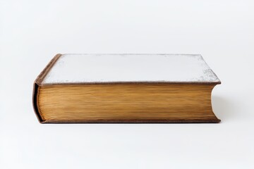 Fototapeta premium Religious commitment belief concept. Old book with a textured spine and blank cover on a light background.