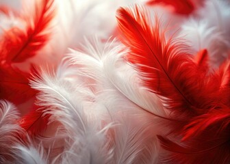 Soft, light red feathers grace a pristine white backdrop; a colorful, textured abstract.