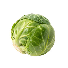 Fototapeta premium Brussels sprout isolated on transparent background