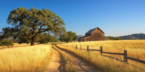 An old barn in the distance, surrounded by trees and tall grasses on both sides of an open field with a dirt road leading up to it. The sky is clear and blue. A wooden fence surrounds the area.