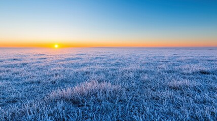 No people scenery focus concept. Frost-covered fields under a vibrant sunrise, showcasing a serene winter landscape with a clear sky.