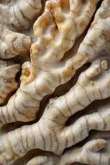 A close up of a ginger root, with its skin peeled away to reveal its white
