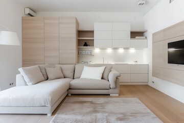 Fototapeta premium A cozy studio apartment with a foldable bed, compact kitchenette, and a stylish modular sofa in neutral tones, maximizing every inch of space. interior design 