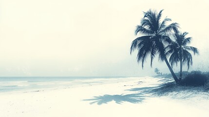 Obraz premium Palm Trees on a Sandy Beach