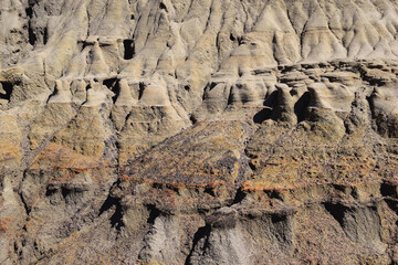 Texture of a dry land