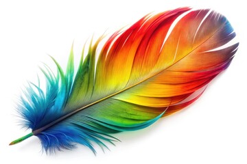 Ara Parrot Feather, Isolated White Background, Calligraphy, Bird Feather, Fashion Photography