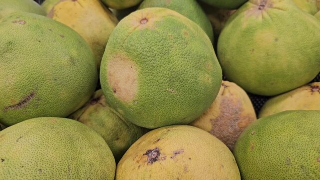 Fresh whole the Pomelo or Citrus maxima alsio known as a shaddock.the largest citrus fruit.Indonesian called Jeruk bali