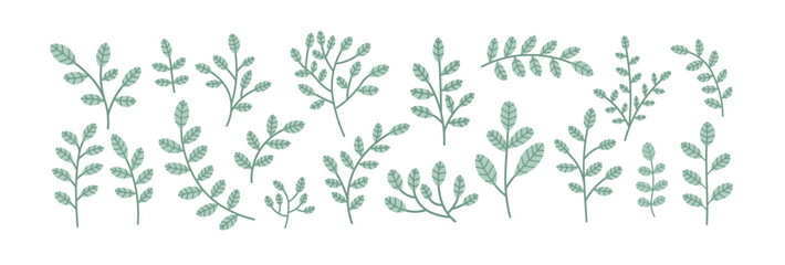 Botanical elements set. Collection of leaves and branches. Vector illustration.