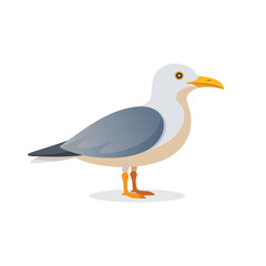 Seagull bird isolated flat vector illustration on white background