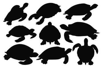 Turtles silhouettes set isolated flat vector illustration on white background