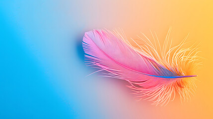 Colorful Feather Close-up: Bold Contrast with Vibrant Shades and Smooth Background