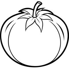 Clean Tomato Vector Line Drawing
