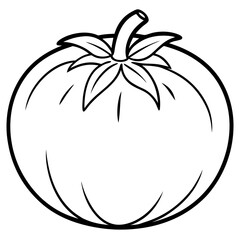 Clean Tomato Vector Line Drawing
