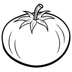 Clean Tomato Vector Line Drawing