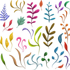 clip art watercolor illustration of colorful plant floral and leaves for seamless pattern wallpaper