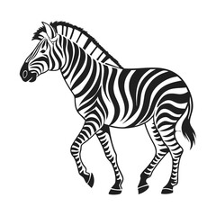 Obraz premium Black and white zebra illustration