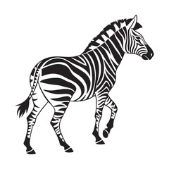 Black and white zebra illustration