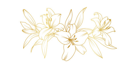 Golden lily flowers line art isolated on white background. Luxury lilies floral design elements for invitation, wedding, wallpaper, print template, vector illustration