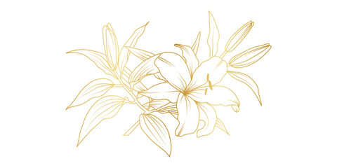 Golden lily flowers line art isolated on white background. Luxury lilies floral design elements for invitation, wedding, wallpaper, print template, vector illustration