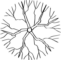 hand drawn cartoon top view of tree illustration.