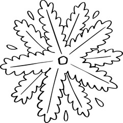 hand drawn cartoon top view of tree illustration.