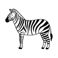 Obraz premium Black and white zebra illustration