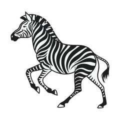 Obraz premium Black and white zebra illustration