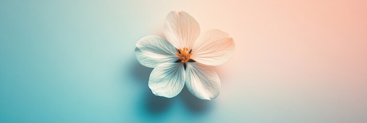 Fototapeta premium Delicate white flower with soft colorful background seen in close up during a serene moment. Generative AI