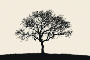 Obraz premium Silhouette of a solitary tree against a pale backdrop showcasing its intricate branches and leaves in tranquil surroundings. Generative AI
