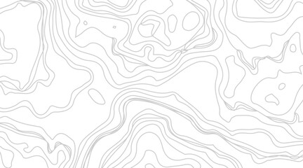 Topographic contour map illustration. Topography and geography map grid abstract backdrop. Business concept. Fish Fillet Texture, Salmon fillet texture, fish pattern. paper texture