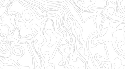 Topographic contour map illustration. Topography and geography map grid abstract backdrop. Business concept. Fish Fillet Texture, Salmon fillet texture, fish pattern. paper texture