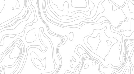 Topographic contour map illustration. Topography and geography map grid abstract backdrop. Business concept. Fish Fillet Texture, Salmon fillet texture, fish pattern. paper texture