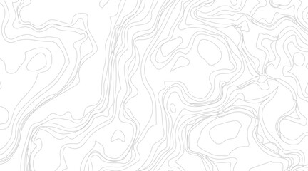 Topographic contour map illustration. Topography and geography map grid abstract backdrop. Business concept. Fish Fillet Texture, Salmon fillet texture, fish pattern. paper texture