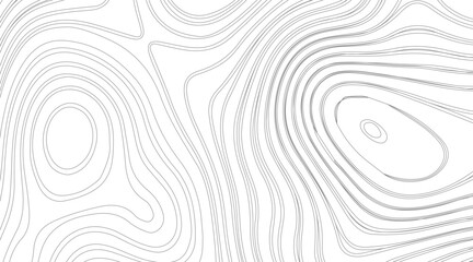 Topographic contour map illustration. Topography and geography map grid abstract backdrop. Business concept. Fish Fillet Texture, Salmon fillet texture, fish pattern. paper texture