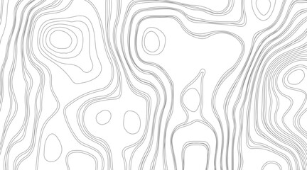 Topographic contour map illustration. Topography and geography map grid abstract backdrop. Business concept. Fish Fillet Texture, Salmon fillet texture, fish pattern. paper texture