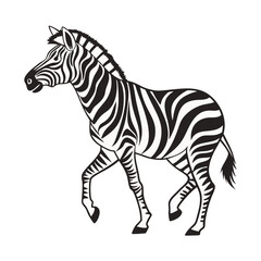 Fototapeta premium Black and white zebra illustration