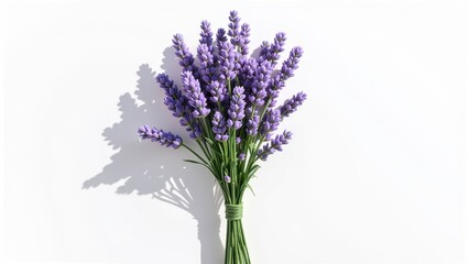 Obraz premium Vibrant lavender blooms entwined with green string rest gracefully atop pristine white, exuding an aromatic allure from every petal’s edge