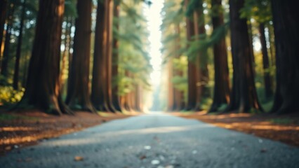 Obraz premium Serene Redwood Forest Path: A Sun-Dappled Morning Stroll
