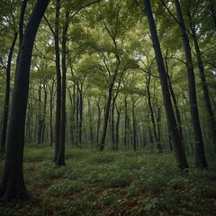 "A forest during a windy day, with leaves swirling in the air."