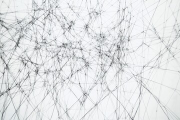 Obraz premium Intricate web of black lines creating a complex pattern on a white background in a modern art setting. Generative AI