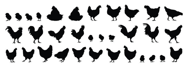 hen or chicken, rooster and chicks silhouette set. hen, rooster and chicks isolated farm animal silhouette icon vector collection © Yanka