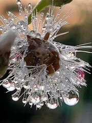 Silver Christmas Decorations on a Tree with Shiny Jewelry and Luxury Gems